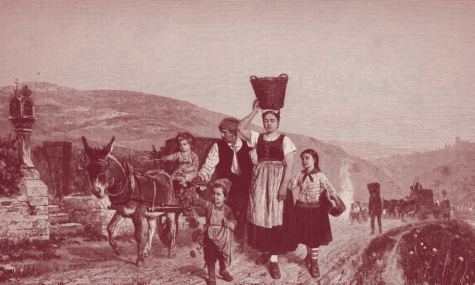 Nineteenth-century engraving of a terraced vineyard at harvest